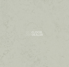 Линолеум Forbo Marmoleum Decibel on Order 373235 asteroid фото 1 | FLOORDEALER